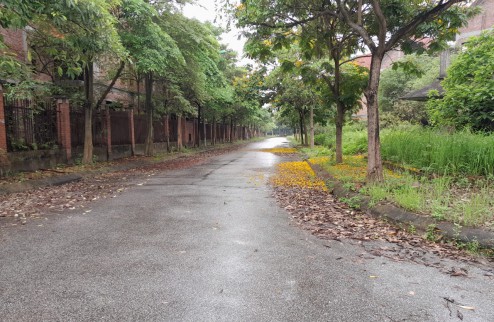 Bán đất BT Vina2 KĐT Quang Minh Mê Linh HN, lô 2 mặt tiền đường 13m, DT335m2.